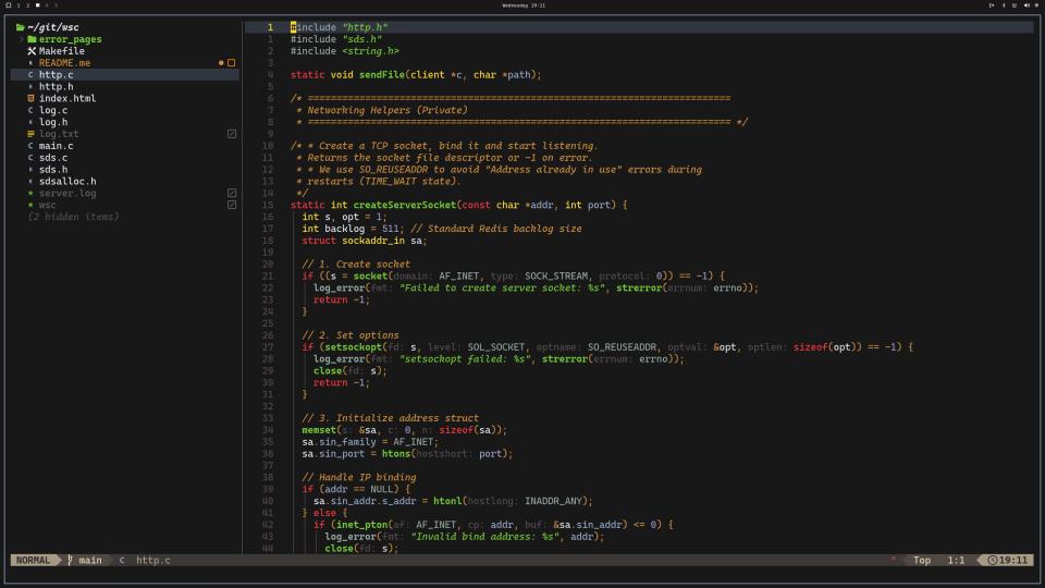 Gruber Tsoding preview